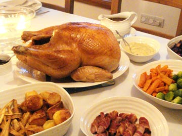 Turkey-Homepage Turkey-Homepage