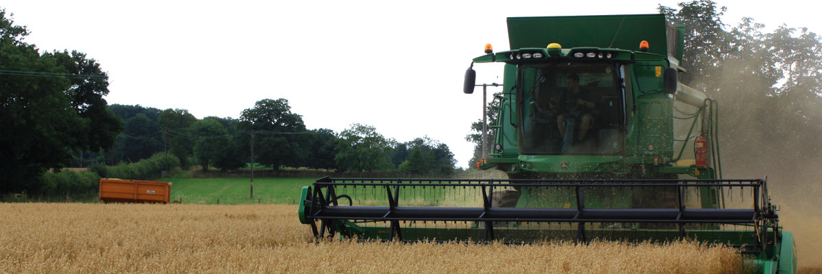 about-the-farm-abnner