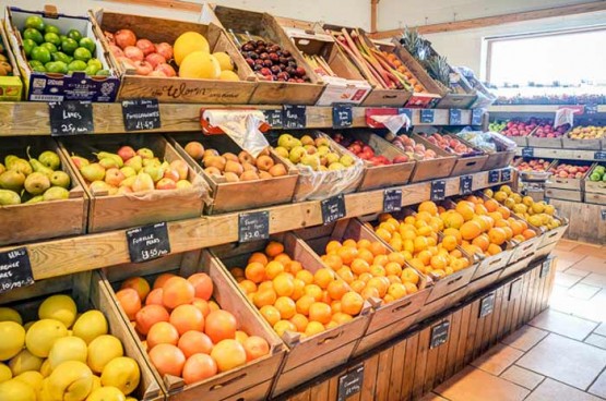 grocery-Image-4 grocery-Image-4